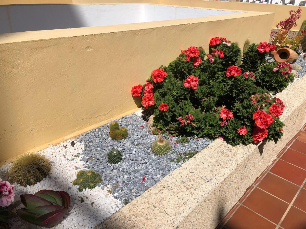 Apartamento Con Impresionantes Vistas Y Piscina Costa Adeje  Εξωτερικό φωτογραφία