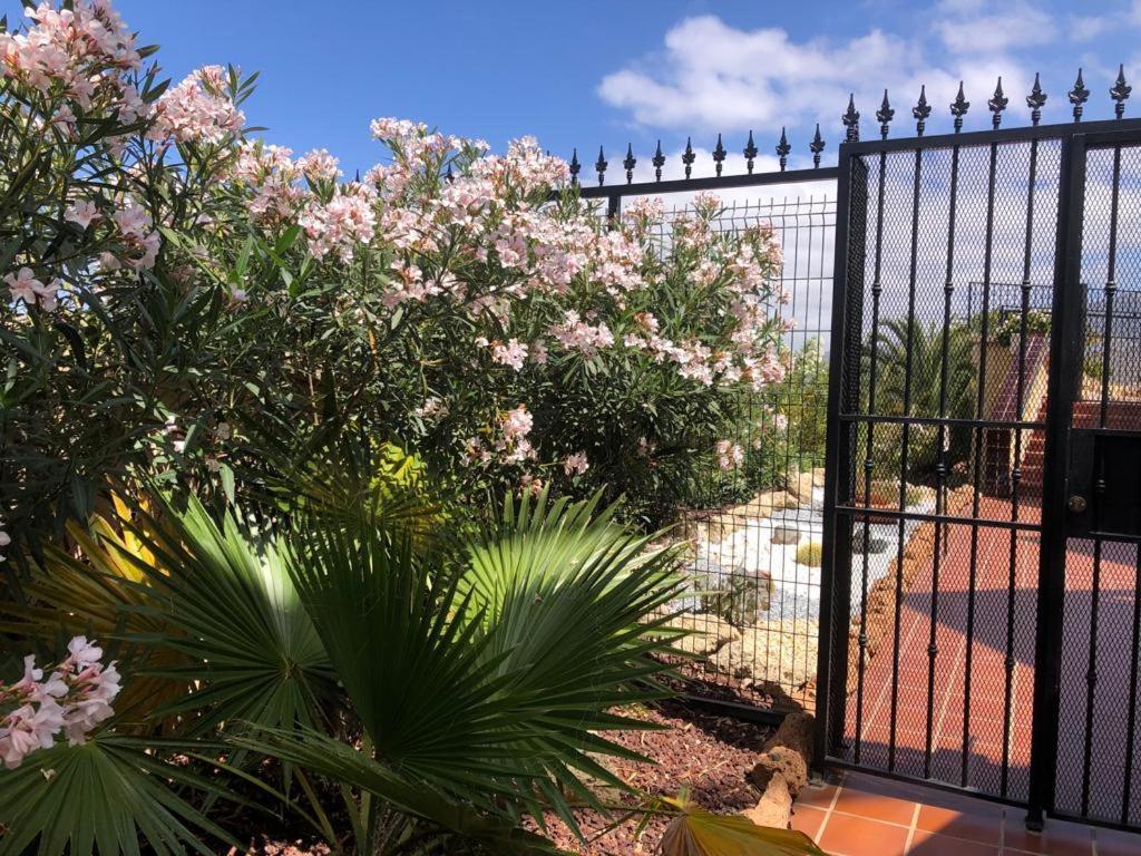 Apartamento Con Impresionantes Vistas Y Piscina Costa Adeje  Εξωτερικό φωτογραφία